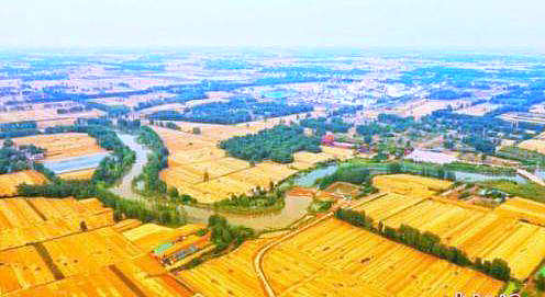 2025年奥门原料免费资料