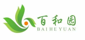 2025年奥门原料免费资料