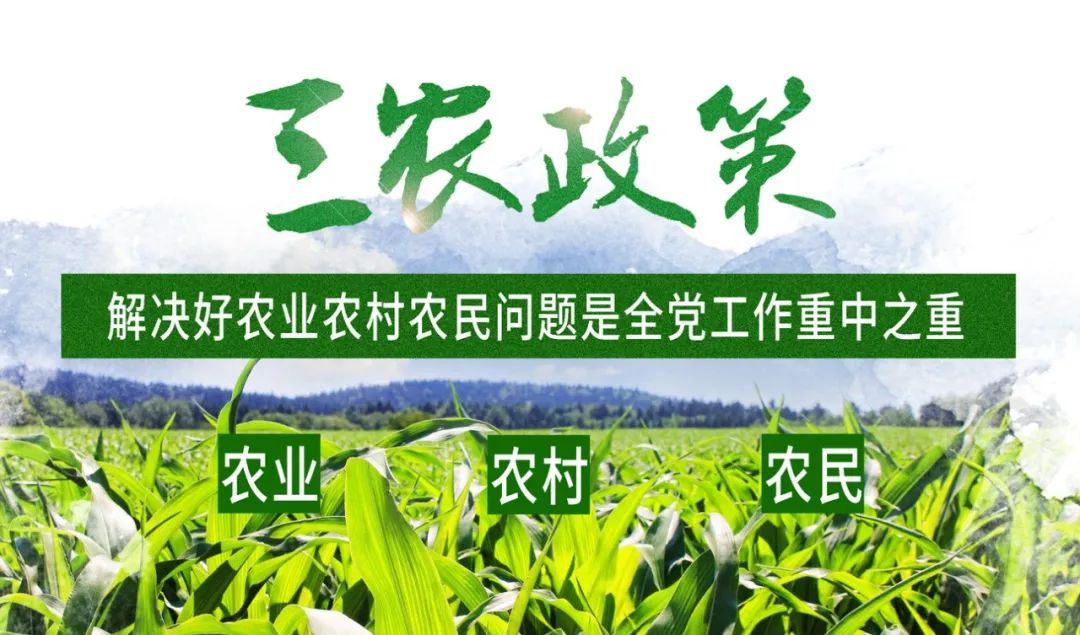 2025年奥门原料免费资料