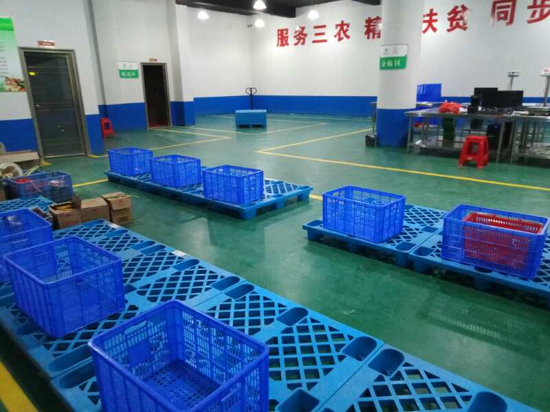 2025年奥门原料免费资料