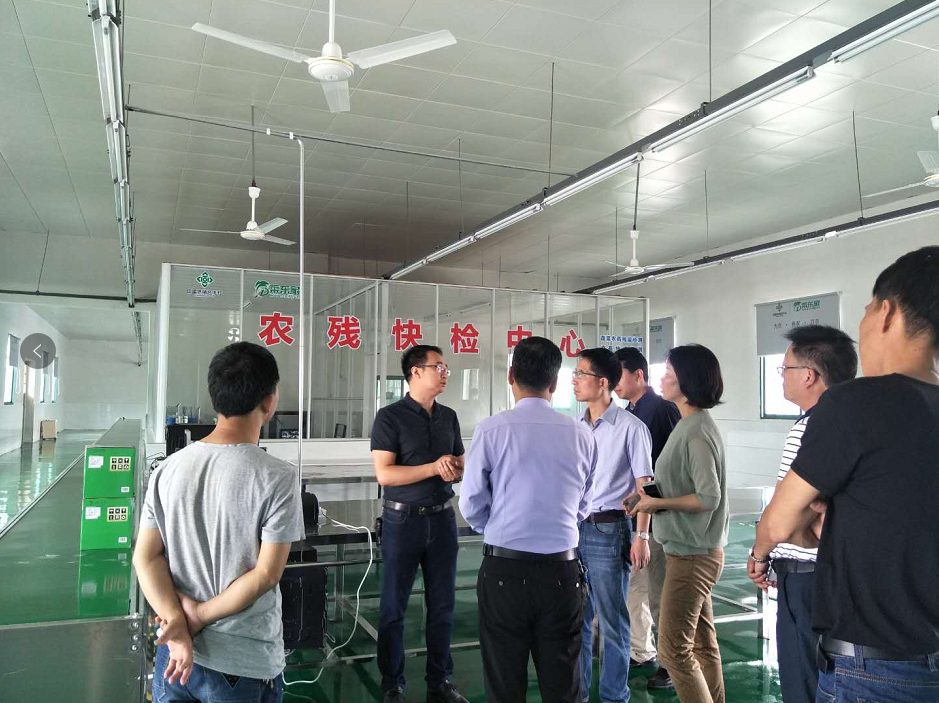 2025年奥门原料免费资料