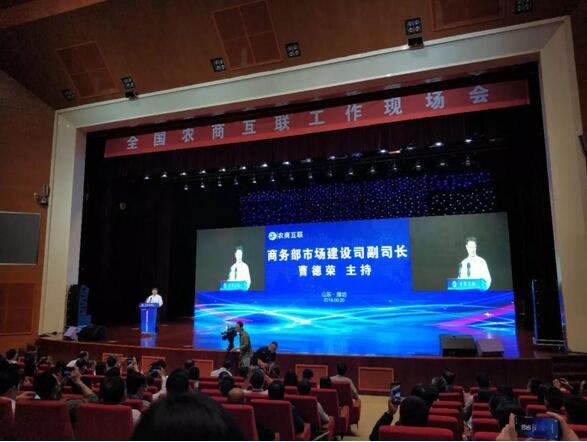 2025年奥门原料免费资料