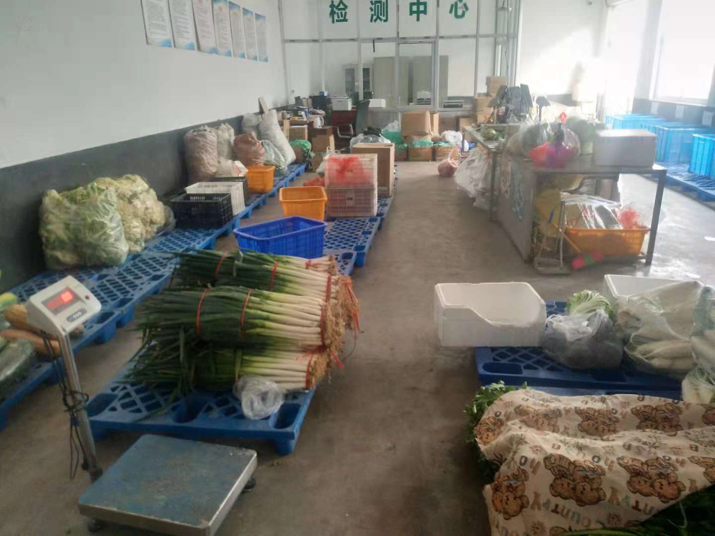 2025年奥门原料免费资料