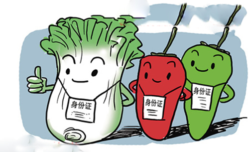 2025年奥门原料免费资料