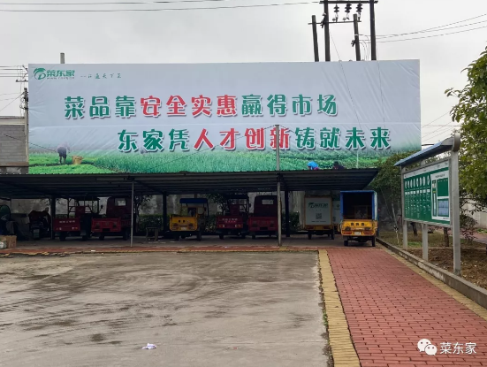 2025年奥门原料免费资料