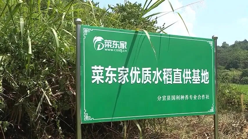 2025年奥门原料免费资料