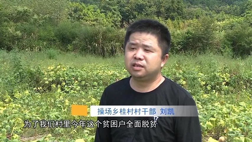 2025年奥门原料免费资料