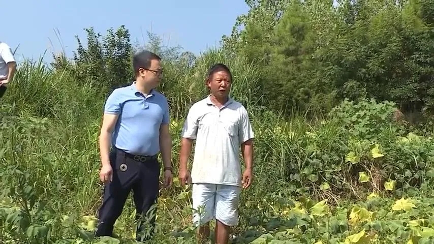 2025年奥门原料免费资料