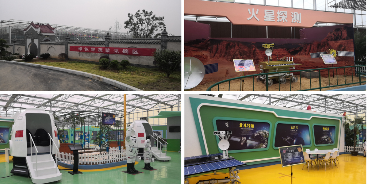 2025年奥门原料免费资料