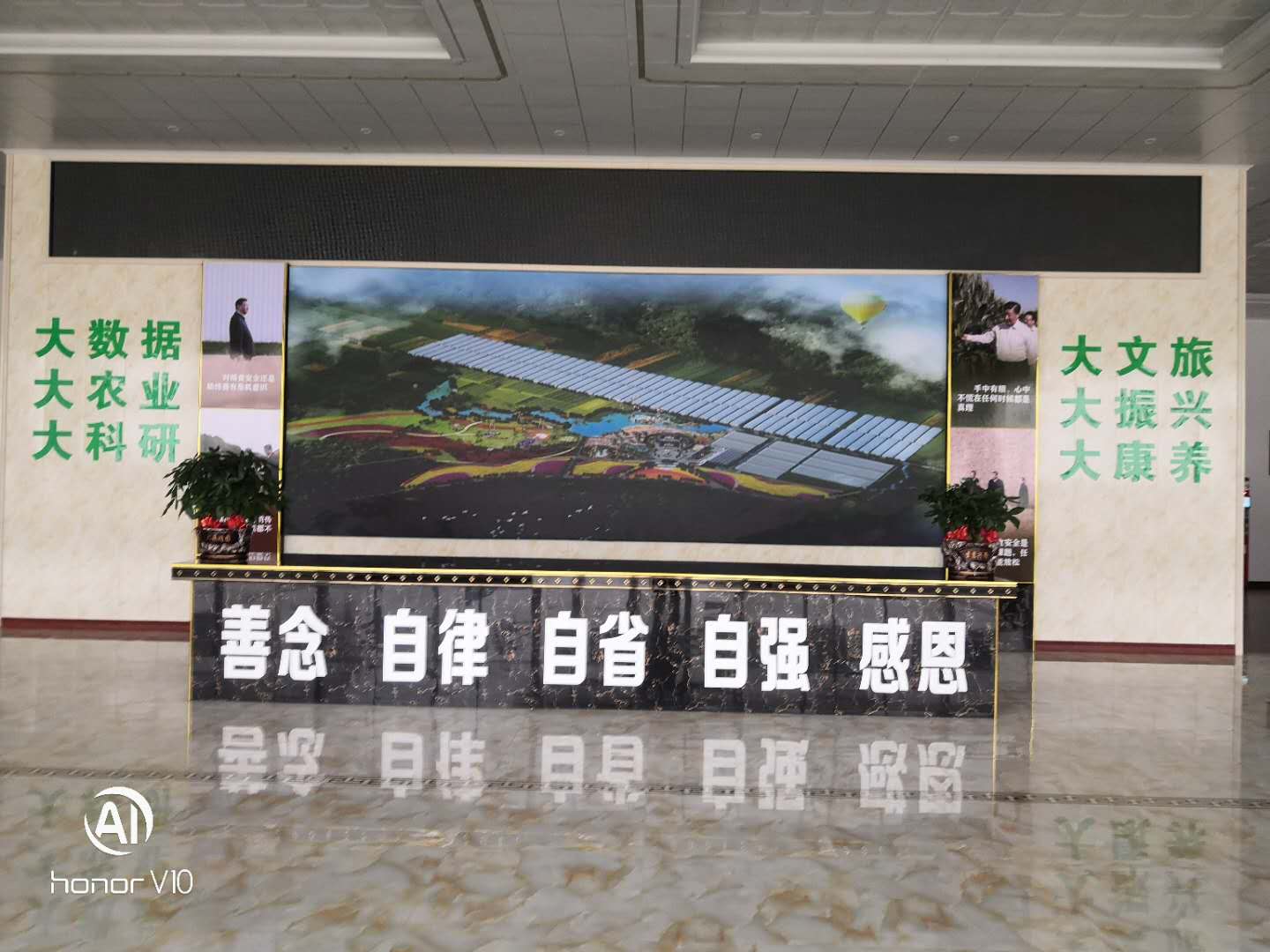 2025年奥门原料免费资料