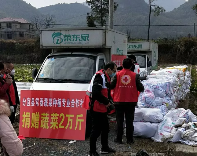 2025年奥门原料免费资料