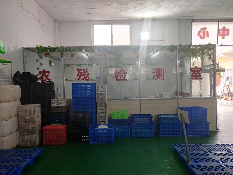 2025年奥门原料免费资料