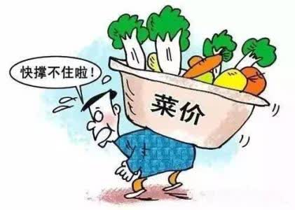 2025年奥门原料免费资料