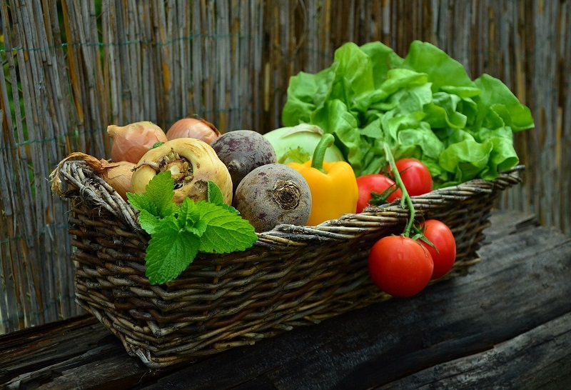 2025年奥门原料免费资料