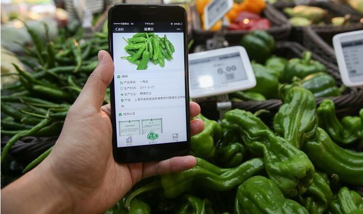 2025年奥门原料免费资料
