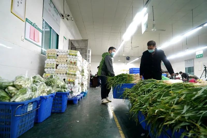 2025年奥门原料免费资料