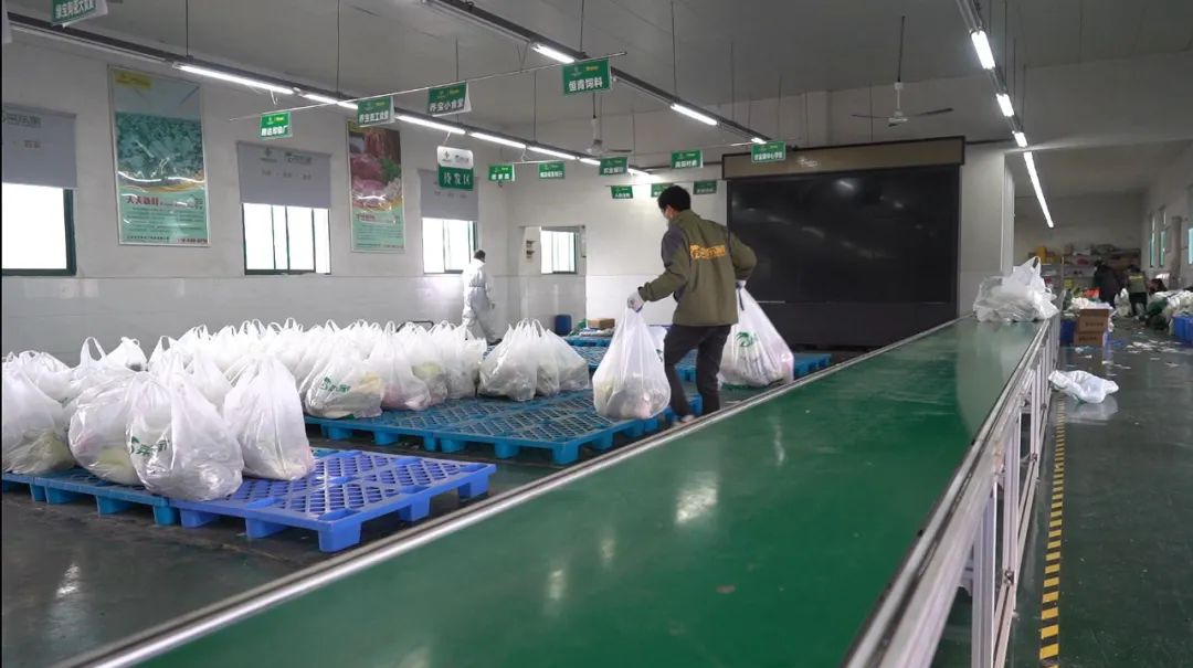 2025年奥门原料免费资料